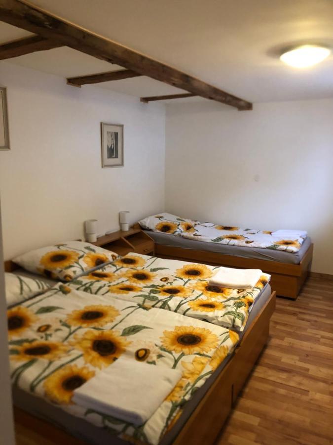 Apartmán U Monka Jáchymov Exteriér fotografie